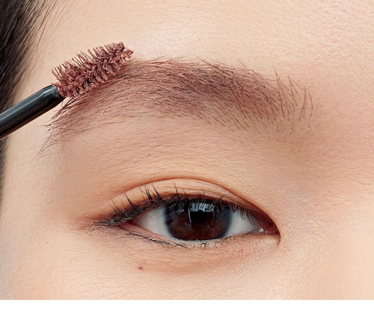 Color Brow 2
