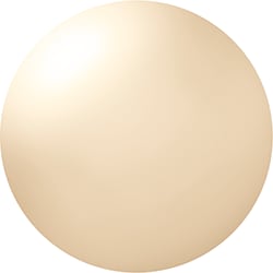 08 Reflection リフレクション ★オンライン限定