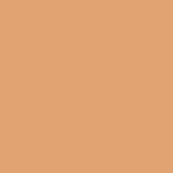 005 Rose Beige ローズ ベージュ